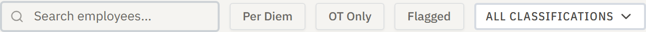 Filter bar at top of report (panel)