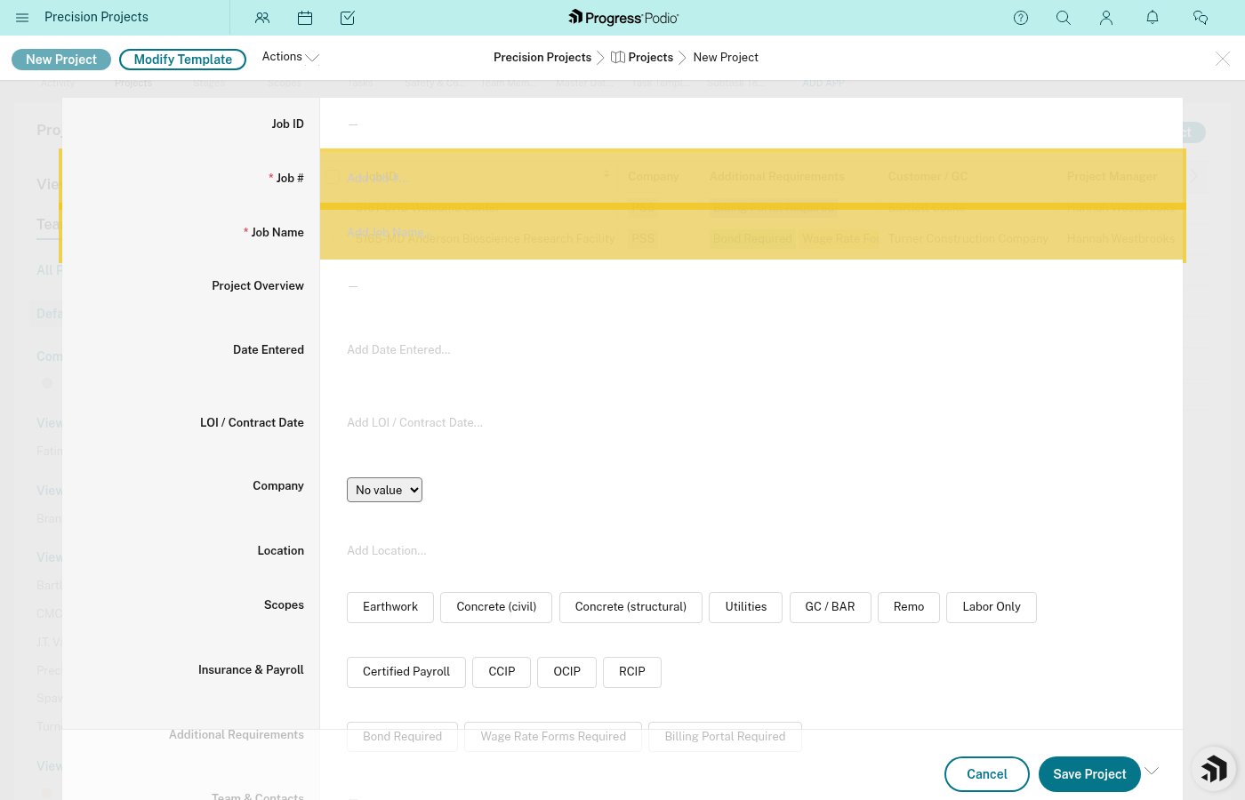 Blank project form with required fields highlighted